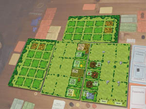 Agricola 12